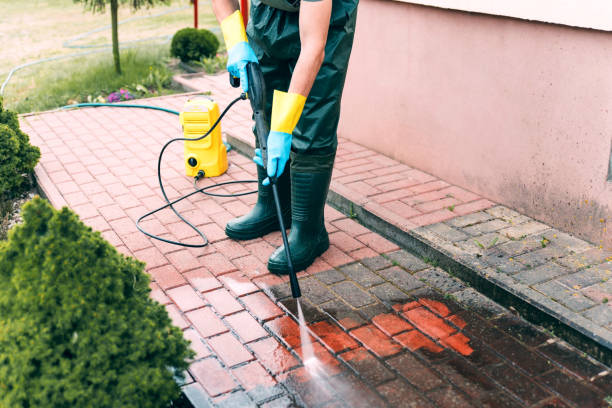 Best Roof Pressure Washing  in Severance, CO